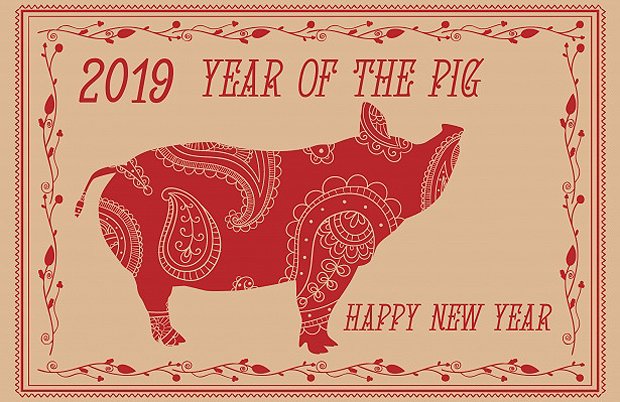 Chinese New Year of the pig